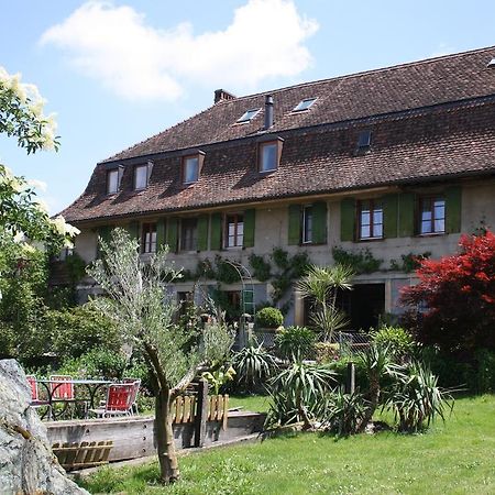 Ofenhaus Villa Murten Luaran gambar