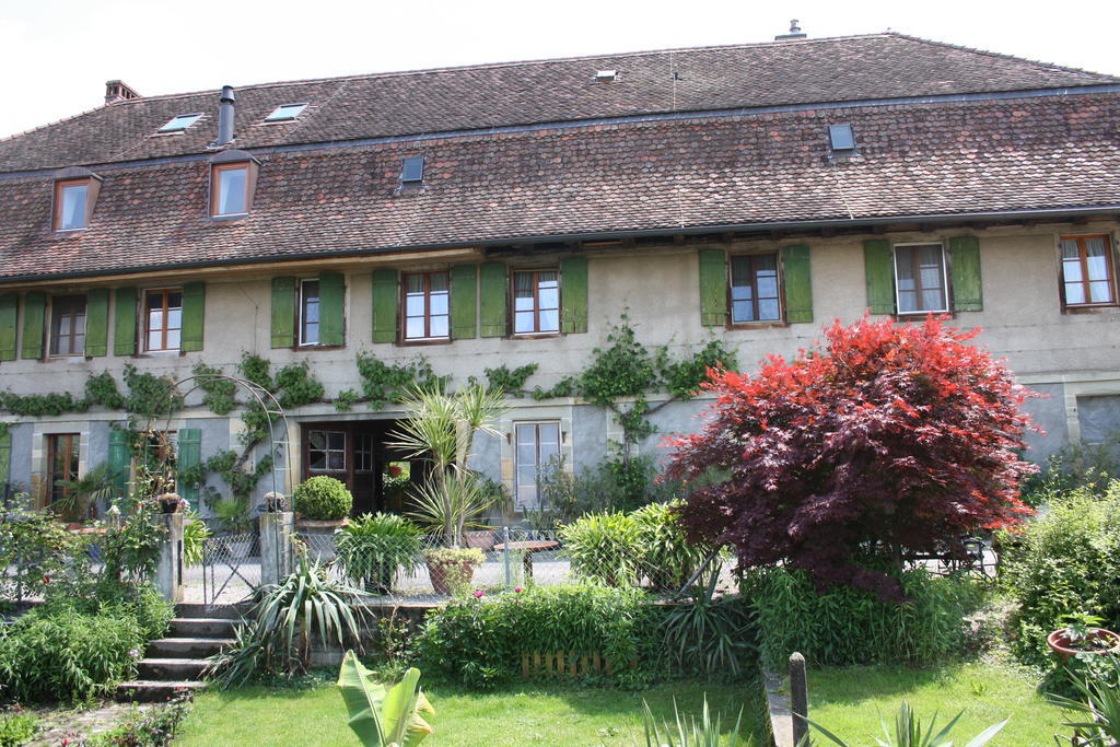Ofenhaus Villa Murten Bilik gambar