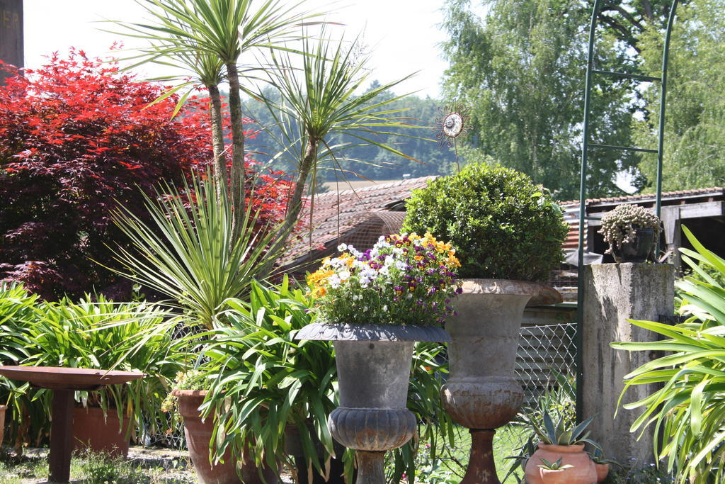 Ofenhaus Villa Murten Bilik gambar