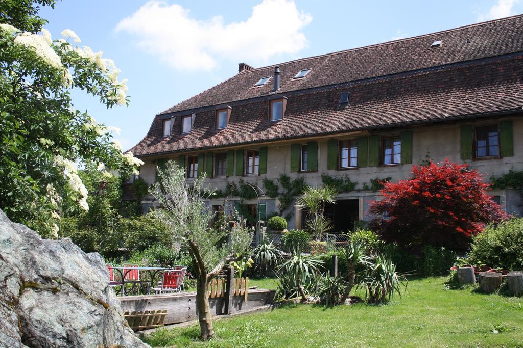 Ofenhaus Villa Murten Luaran gambar